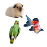 Peces-Aves-Roedores