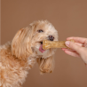 Snack Canino
