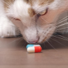 Antibiotico
