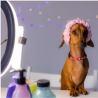 Cosmeticos