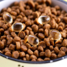 Estimulante de Apetito