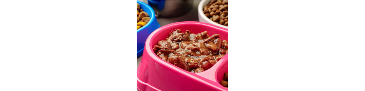 Promocion Proplan