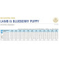 ND ANCESTRAL DOG  PUPPY MINI X 2.5 KG