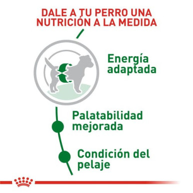 ROYAL CANIN MINI ADULTO 8KG