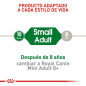 ROYAL CANIN MINI ADULTO 8KG