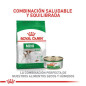 ROYAL CANIN MINI ADULTO 8KG