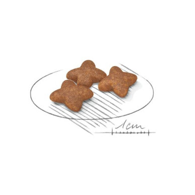 ROYAL CANIN MINI ADULTO 8KG