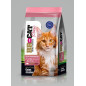 BR FOR CAT ADULTO SALMON X 3 kg BR FOR CAT ADULTO SALMON X 3 kg
