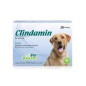 CLINDAMIN X BLISTER CLINDAMIN X BLISTER