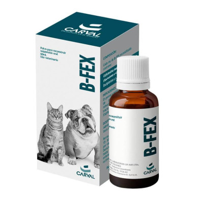 B-FEX SUSPENSION ORAL  X 60 ML