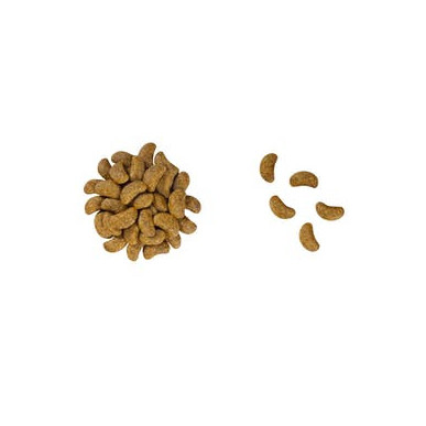 ROYAL CANIN RENAL SUP S  DOG  X 2.72  KG