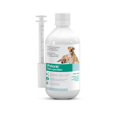 PETONIC R PERROS GRANDES X 275  ML