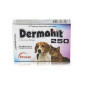 DERMOHIT 250 CAJA X 20 Tabletas