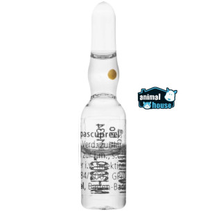 SPASCUPREEL 1.1 ml X Ampolla