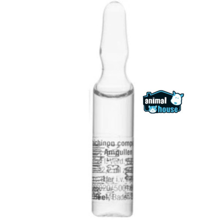 UBICHON COMP. INYECTABLE AMPOLLA X Und