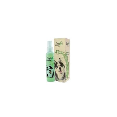 BASIC FRESH ENJUAGUE BUCAL X 120 ML