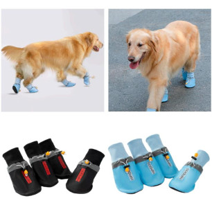 ZAPATOS PAWSHIELD T B3XL AZUL