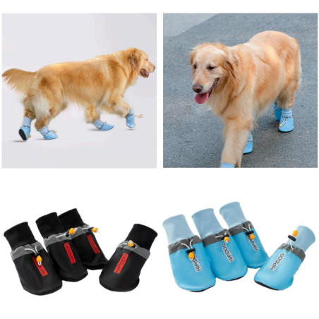 ZAPATOS PAWSHIELD T B5XL AZUL