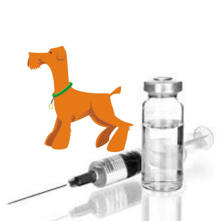 VACUNA BRONCHICINE X 1 Dosis