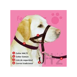 COLLARES HALTY CANES CLUB