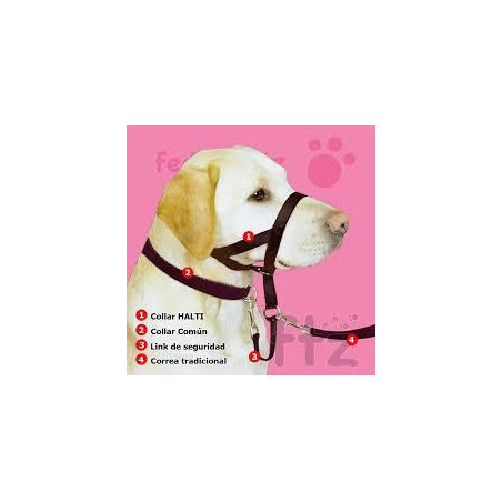 COLLARES HALTY CANES CLUB