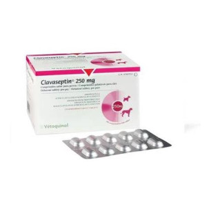 CLAVASEPTIN X 250 MG BLISTER X 10 TAB