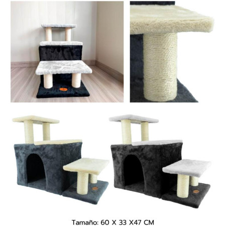 GIMNASIO RASCADOR MEDIANO