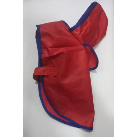 CAPERUCITA ROJA TALLA 2