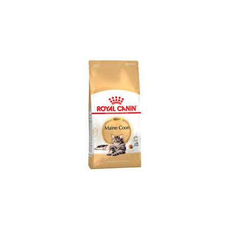 ROYAL CANIN FELINO MAINE COON AD X 2 kg