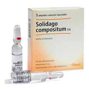 SOLIDAGO X AMPOLLA