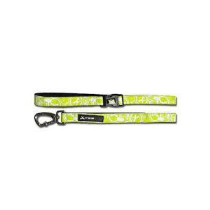 CORREA X-TRM DOG GEAR