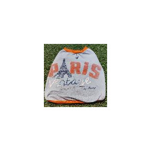 CAMISETA PARIS FREEDOG