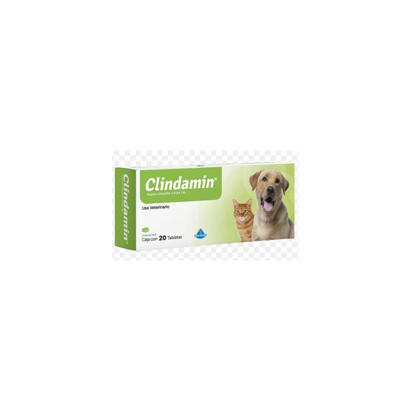 CLINDAMIN X BLISTER CLINDAMIN X BLISTER