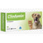 CLINDAMIN X BLISTER CLINDAMIN X BLISTER