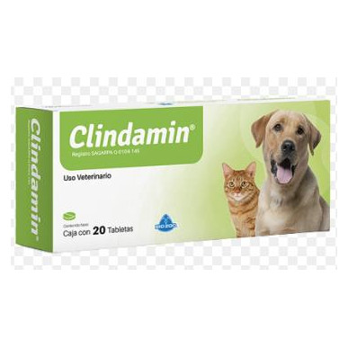 CLINDAMIN X BLISTER