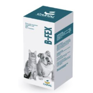 B-FEX SUSPENSION ORAL  X 60 ML