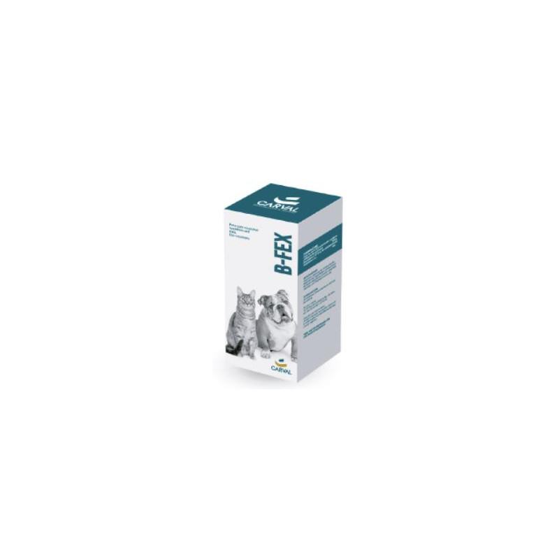 B-FEX SUSPENSION ORAL X 60 ML B-FEX SUSPENSION ORAL X 60 ML