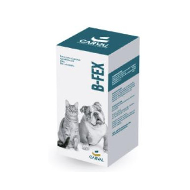 B-FEX SUSPENSION ORAL  X 60 ML