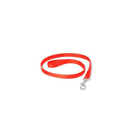 CORREA NYLON 15X120