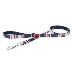 DRONTAL PS PERROS GRANDES X 2 Tab