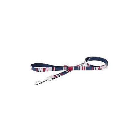 DRONTAL PS PERROS GRANDES X 2 Tab