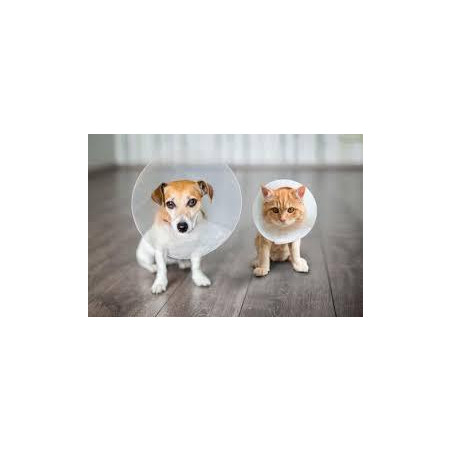 GALLETAS PARA GATO POLLOMENTA 300gr