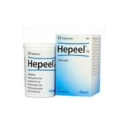 COMEDERO CARA DE GATO B-2