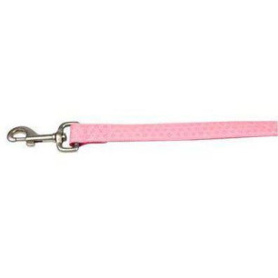 CORREA ENVY FLORA ROSA  15MMX120