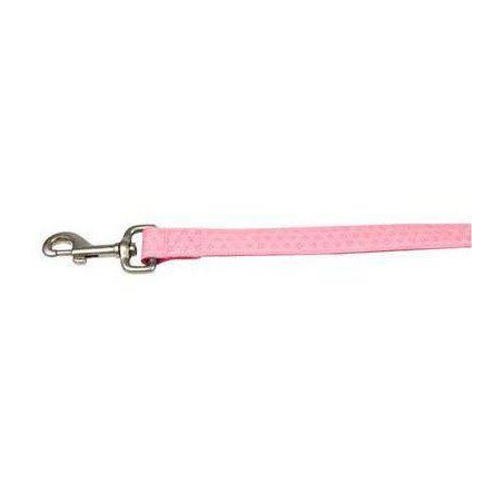 CORREA ENVY FLORA ROSA  15MMX120