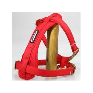 ARNES DOGNESS ROJOAZUL T M