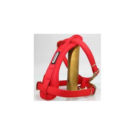 ARNES DOGNESS ROJOAZUL T M