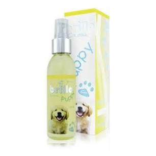 COLONIA PUPPY X 120 ML