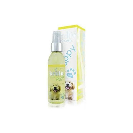 COLONIA PUPPY X 120 ML