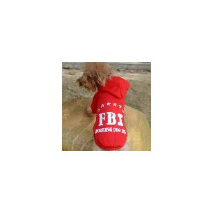 BUZO FBI L